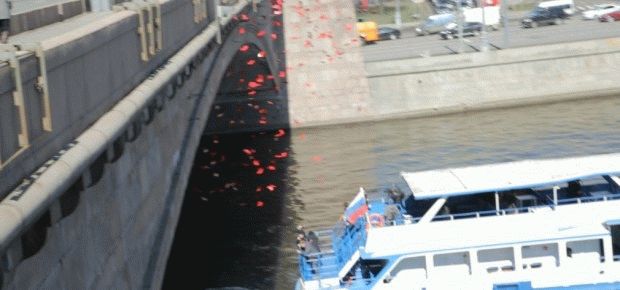 антиаборт 4