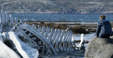 Антон Дулевич: Плевок Левиафана в лицо Русской Церкви