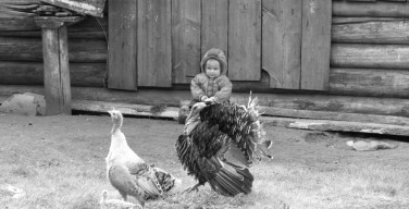 Почему умирает деревня и как ее возродить? Мнение экспертов