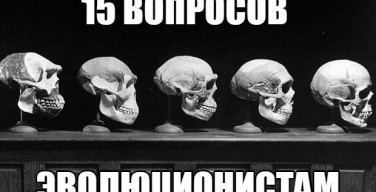 15 вопросов эволюционистам