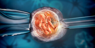 ЭКО: луч надежды или тяжкий грех?