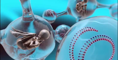 Как относиться к процедуре ЭКО?