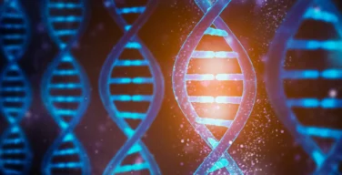 Эволюция отменяется: Академик РАН доказал, что 80% генома неизменяемы