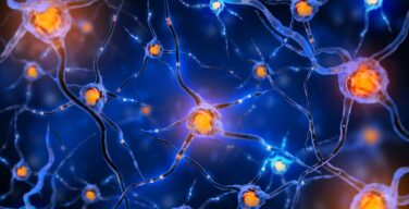 Биология против эволюции. Невероятные творения, опровергающие теорию Дарвина