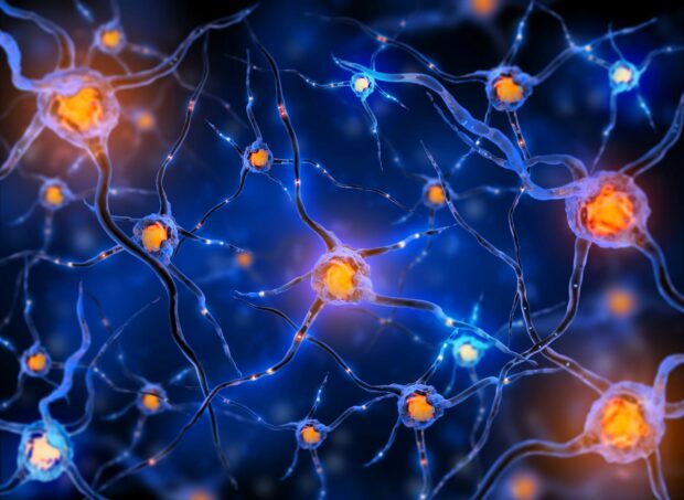 Биология против эволюции. Невероятные творения, опровергающие теорию Дарвина